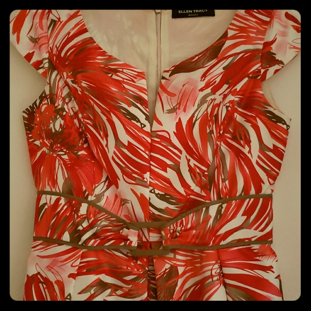 Ellen Tracy Dress